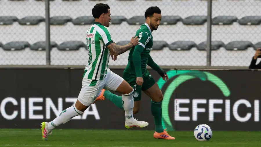 palmeiras x juventude