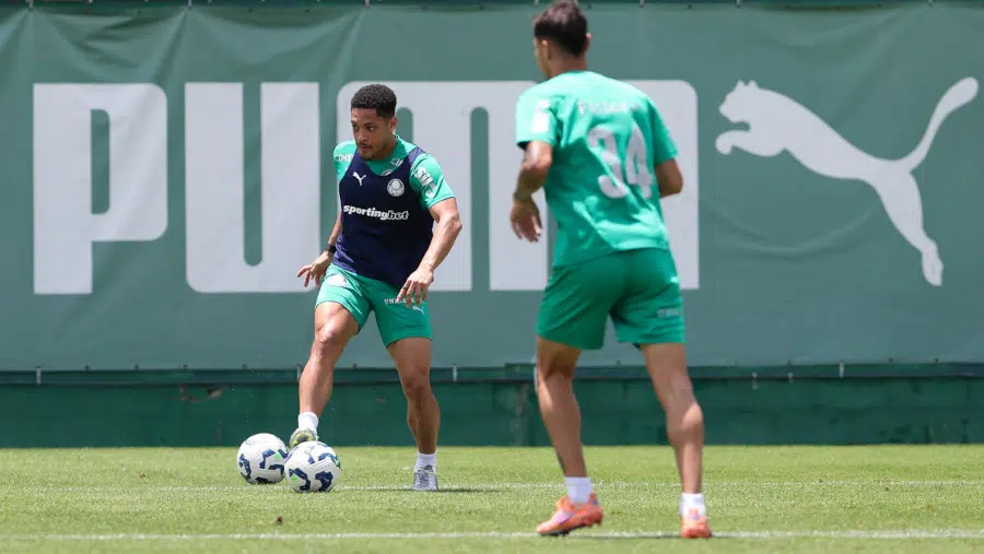 vitor roque palmeiras