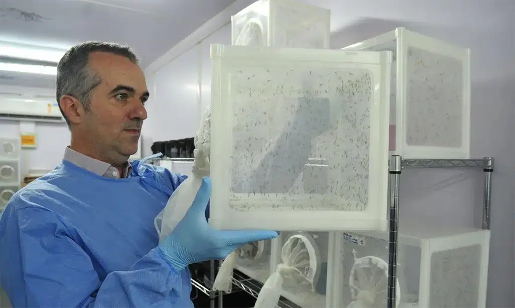 engenheiro agronomo luciano andrade moreira