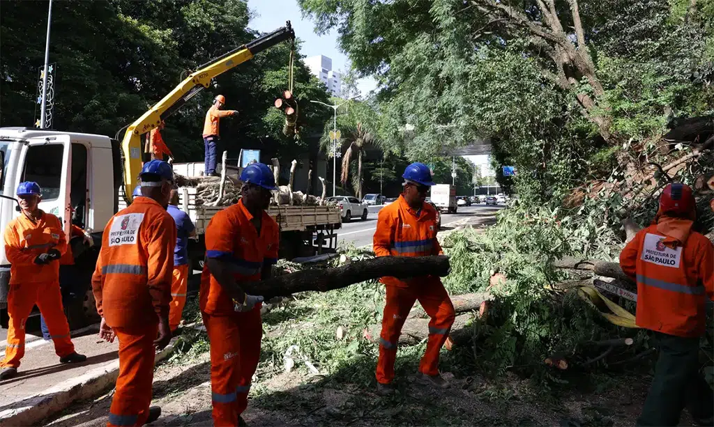 queda de arvores apos ventania em sp