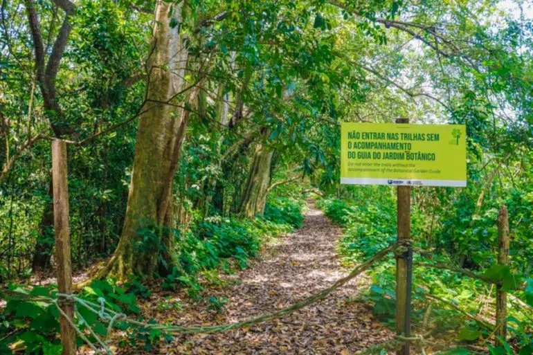 Jardim Botânico em João Pessoa e Vale dos Dinossauros em Sousa/PB abrem no Dia das Crianças trilhas no jardim botanico em joao pessoa