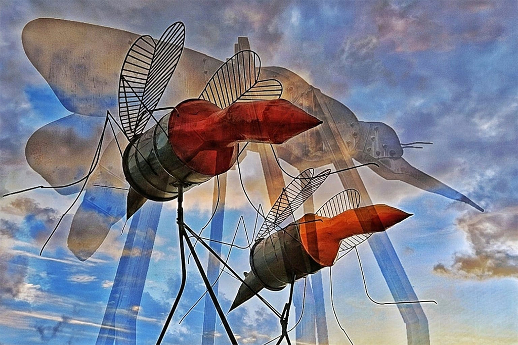 Funjope abre 2ª edição da exposição ‘Fotofolia’ em João Pessoa