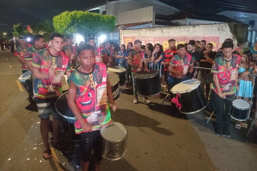 Ala Ursa Gavião de João Pessoa traz enredo com foco na doação de sangue