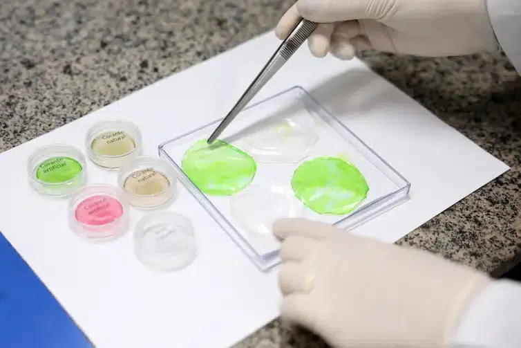 Carne de laboratório: com alimentos impressos, Embrapa promete reduzir impactos ambientais pelicula comestivel
