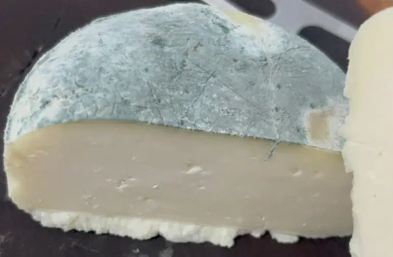 Produtor do Cariri transforma queijo artesanal em referência nacional com receita criada por acaso especial queijo