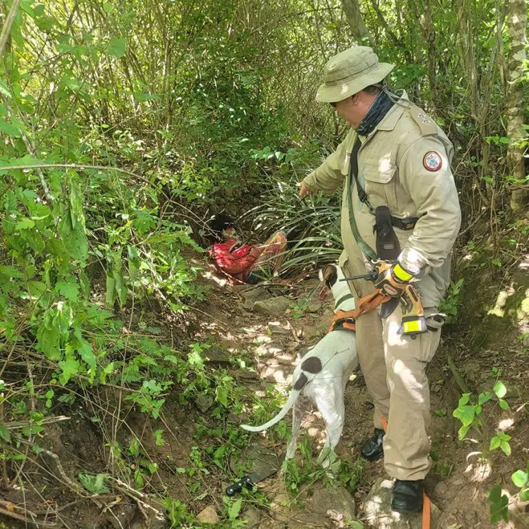 Idosa desaparecida na Paraíba é localizada por cadela de busca do Corpo de Bombeiros idosa desaparecida em mata eh encontrada por cadela de busca do cbpb