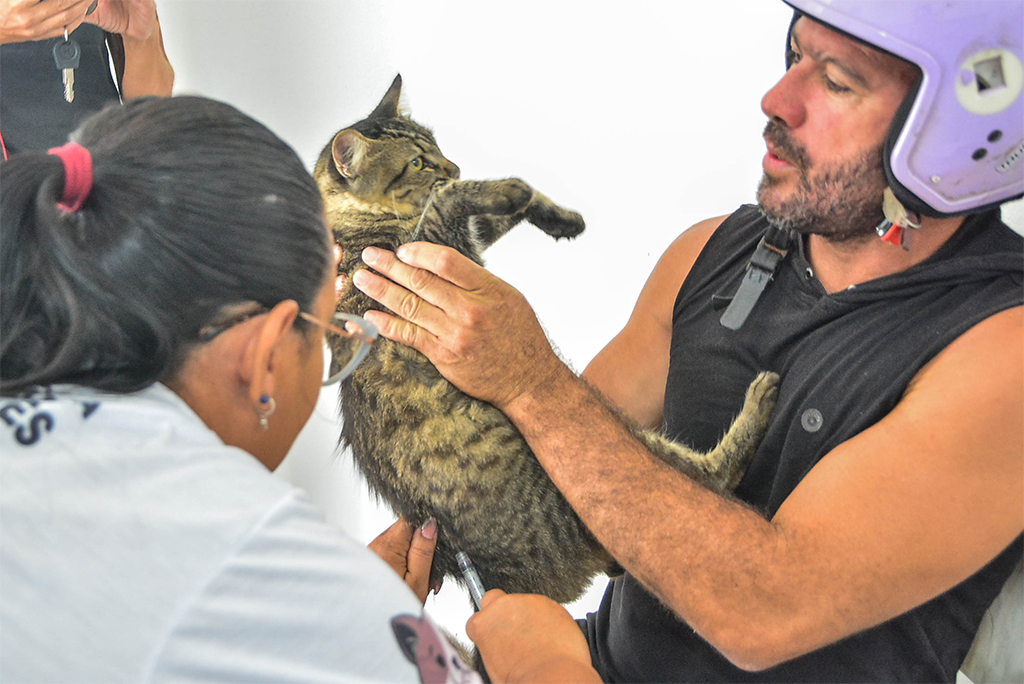Veja recomendações para o Dia D de Vacinação Antirrábica Animal em João Pessoa