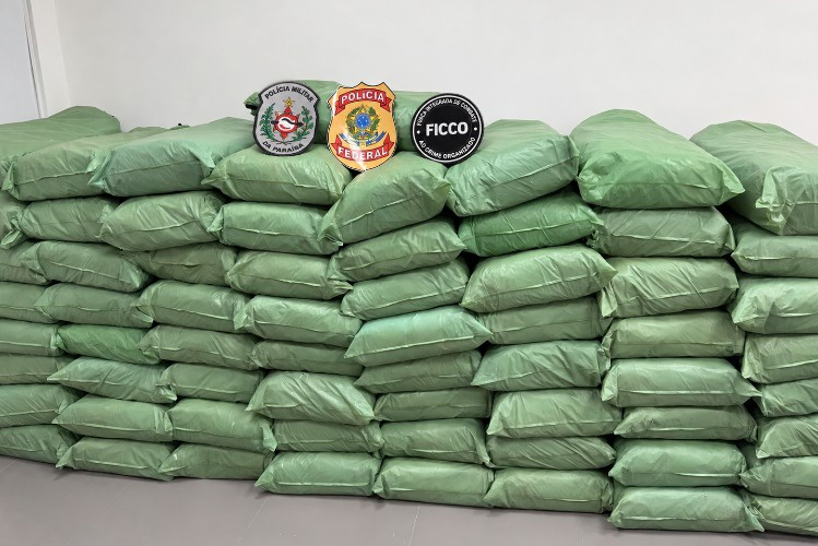 Polícia prende suspeito e apreende meia tonelada de maconha na Paraíba