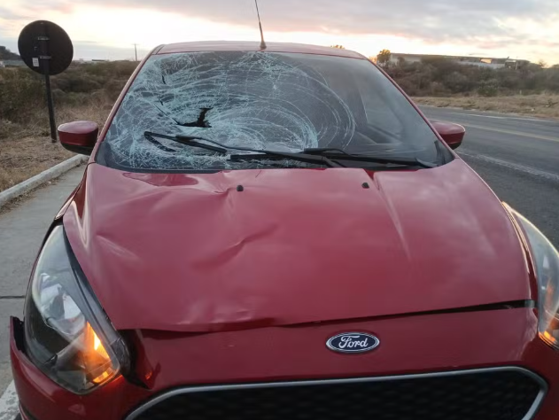 Homem morre após ser atropelado na BR-230, em Cajazeiras